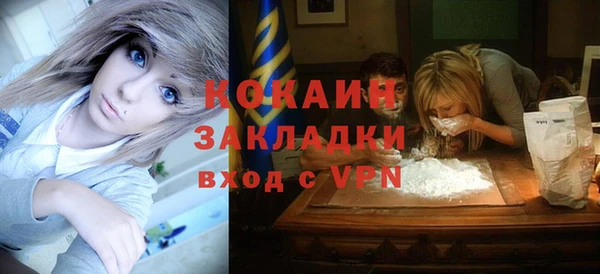 спиды Богданович