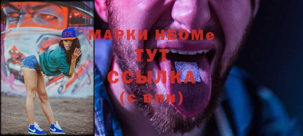 индика Богородск