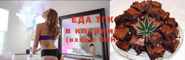 индика Богородск