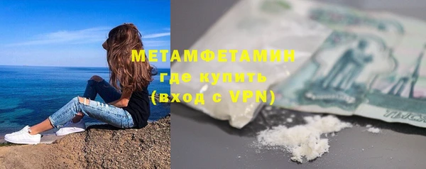 индика Богородск