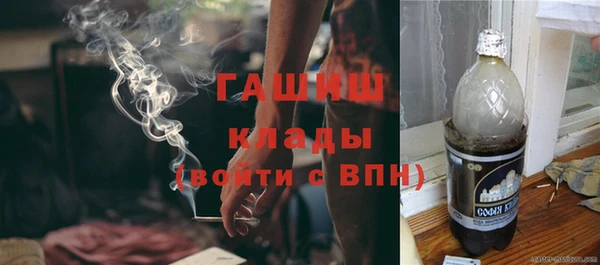 индика Богородск