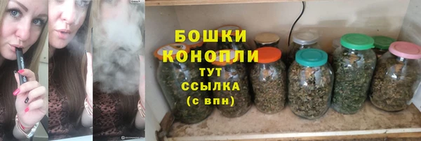 спиды Богданович