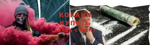 индика Богородск