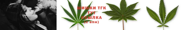 спиды Богданович