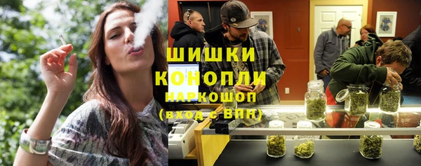 спиды Богданович