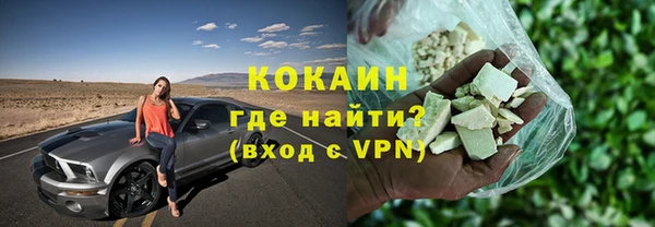 индика Богородск