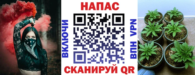 Канабис VHQ  как найти   Гаврилов-Ям 